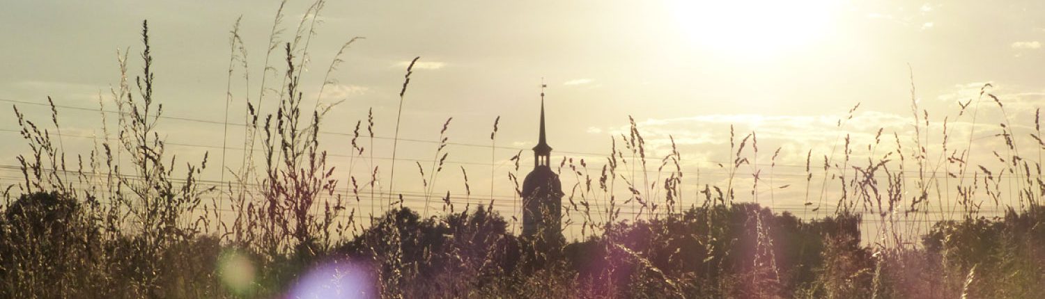 Niederau-Header-08-Groebern