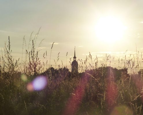 Niederau-Header-08-Groebern