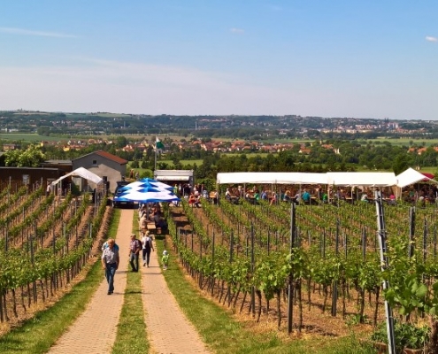 Blick auf den Gellertberg