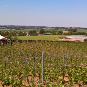 Blick auf den Gellertberg