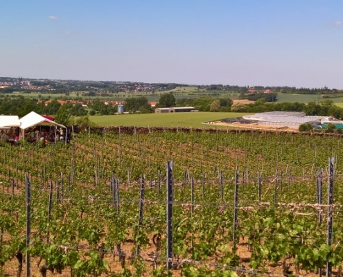 Blick auf den Gellertberg