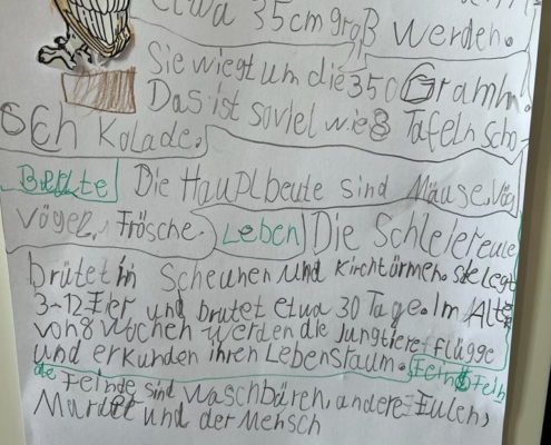 Die Schleiereule Plakat selbst gestaltet