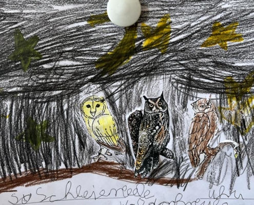 Malbild Eulen in der Nacht