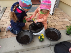 Erde in Schale einfuellen