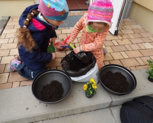 Erde in Schale einfuellen