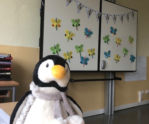 In der Pinguinklasse