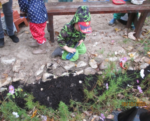 Herbstarbeiten im Garten