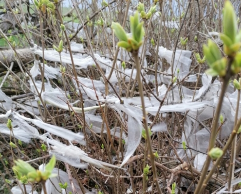Plastik zwischen Sträuchern