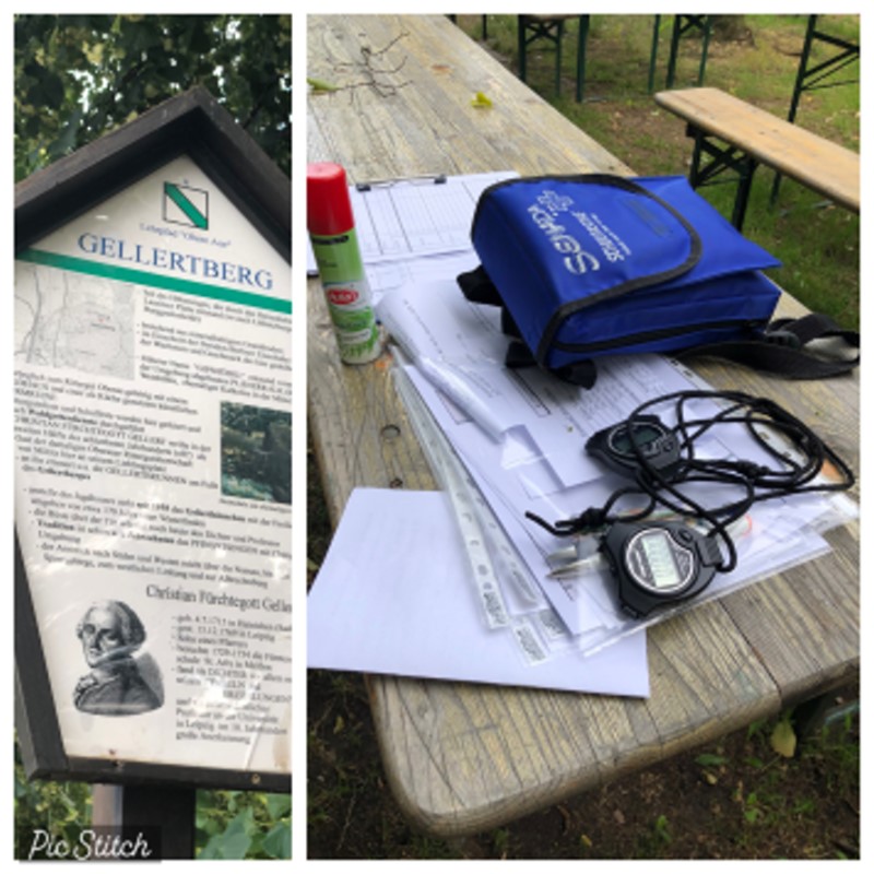 Collage Startutensilien