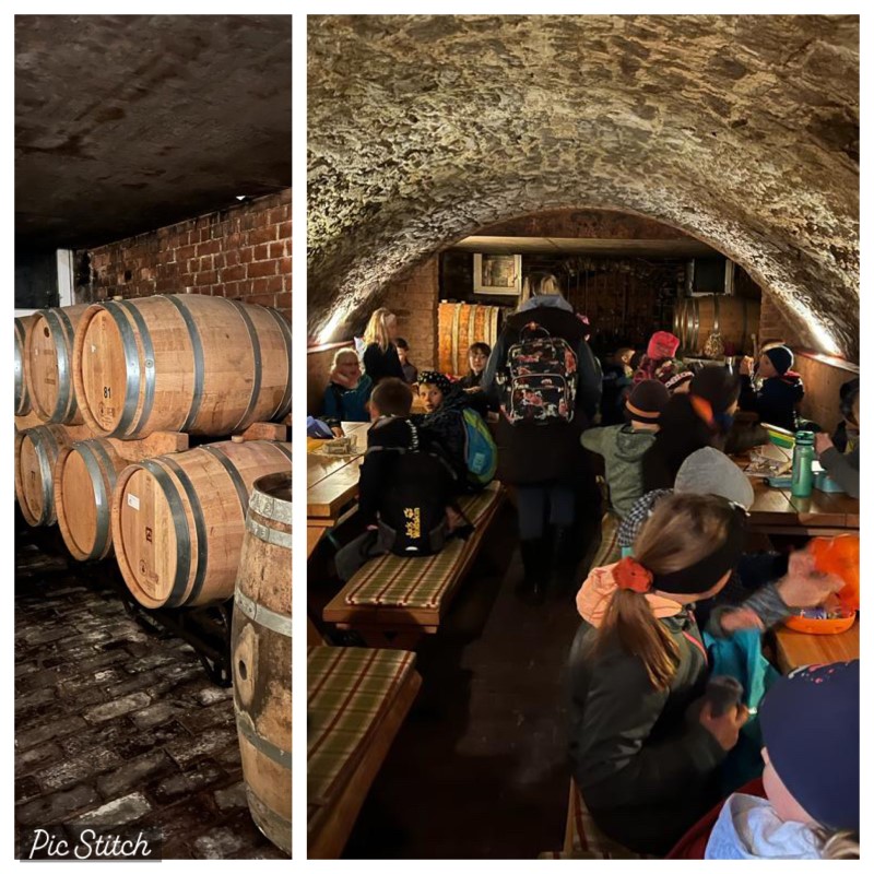 Frühstück im Weinkeller