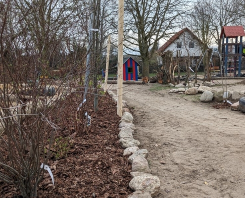 gepflanzte Sträucher