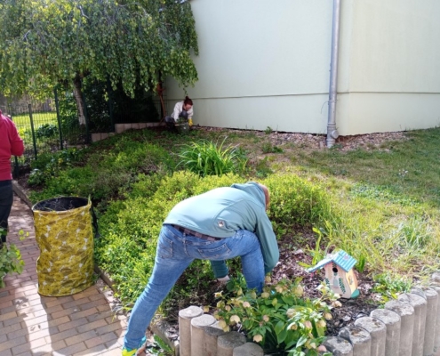 Beet Eingangsbereich Igel 2