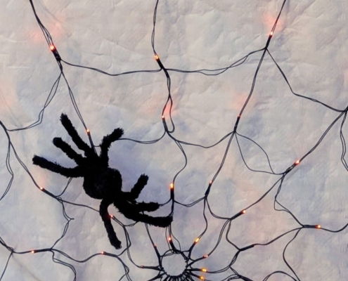 PXL_20251030_155317870.PORTRAIT~5