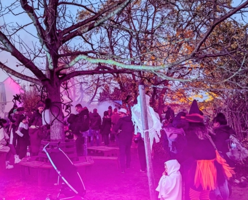 PXL_20251030_155604736~5