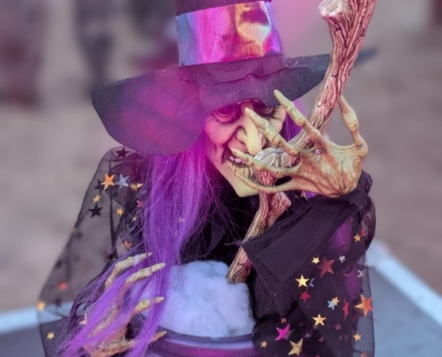 PXL_20251030_155644483.PORTRAIT~3